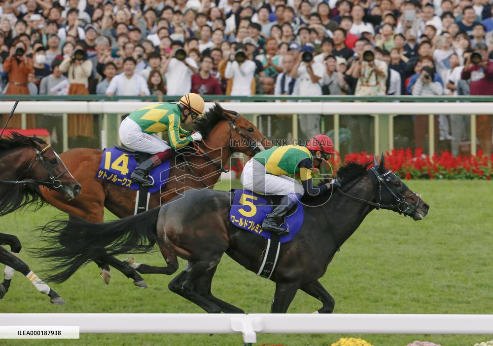 Horse racing: Take, World Premiere walk Kikka-sho red carpet