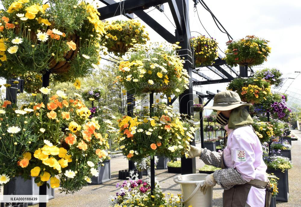 Flowers in full bloom at western Japan park