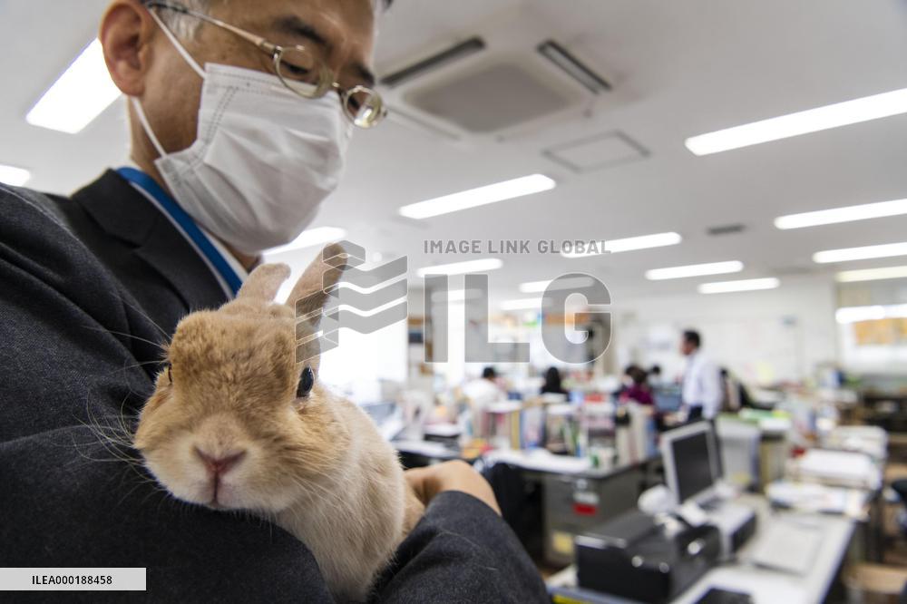 Animals' lives during coronavirus