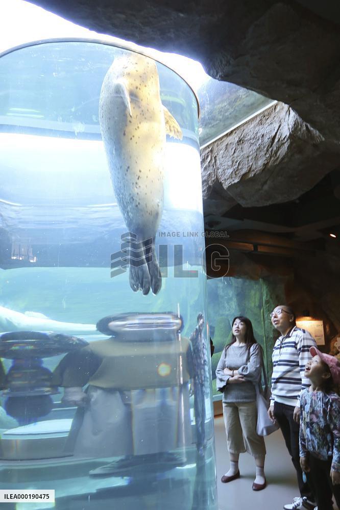 Seal at Japanese zoo