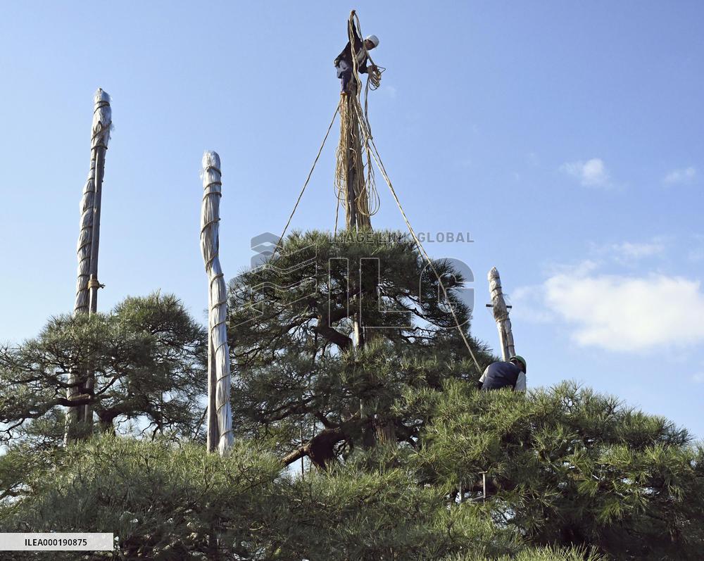 Protecting trees from snow