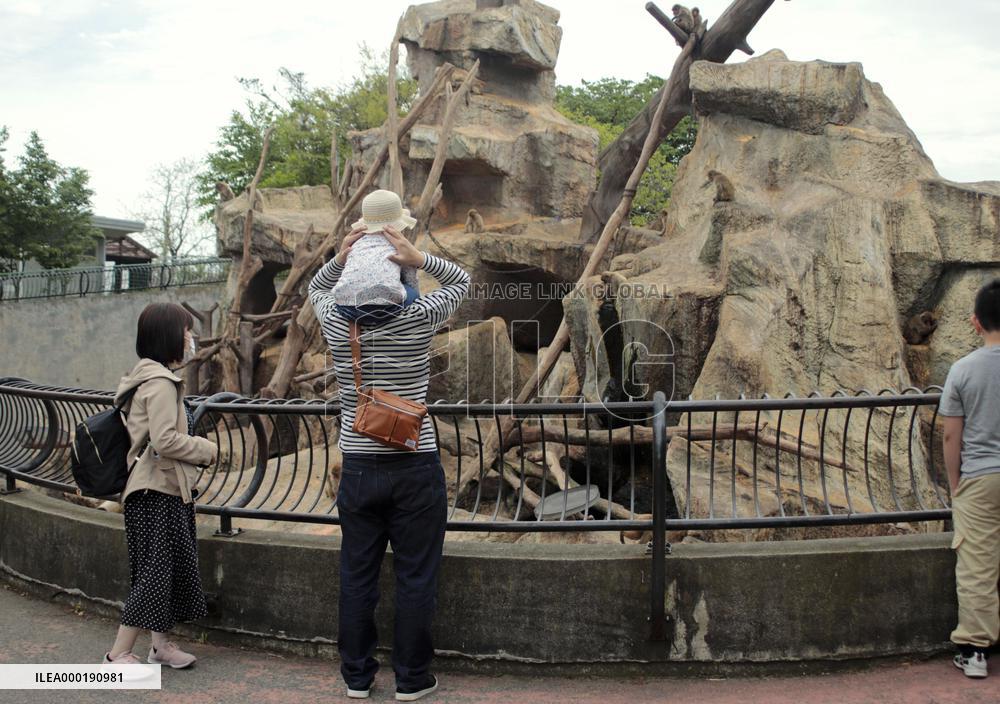 People return to zoo after state of emergency lifted