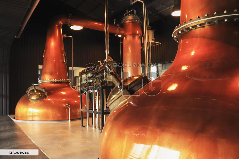 Turning beer into gin in coronavirus crisis