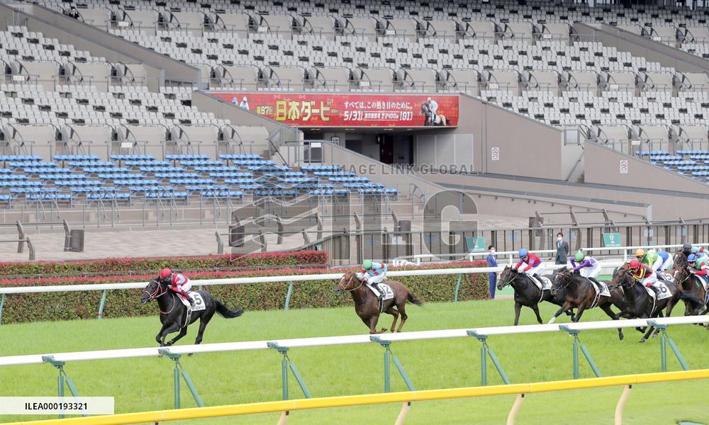 Horse racing: Undefeated Contrail jets to Japanese Derby victory