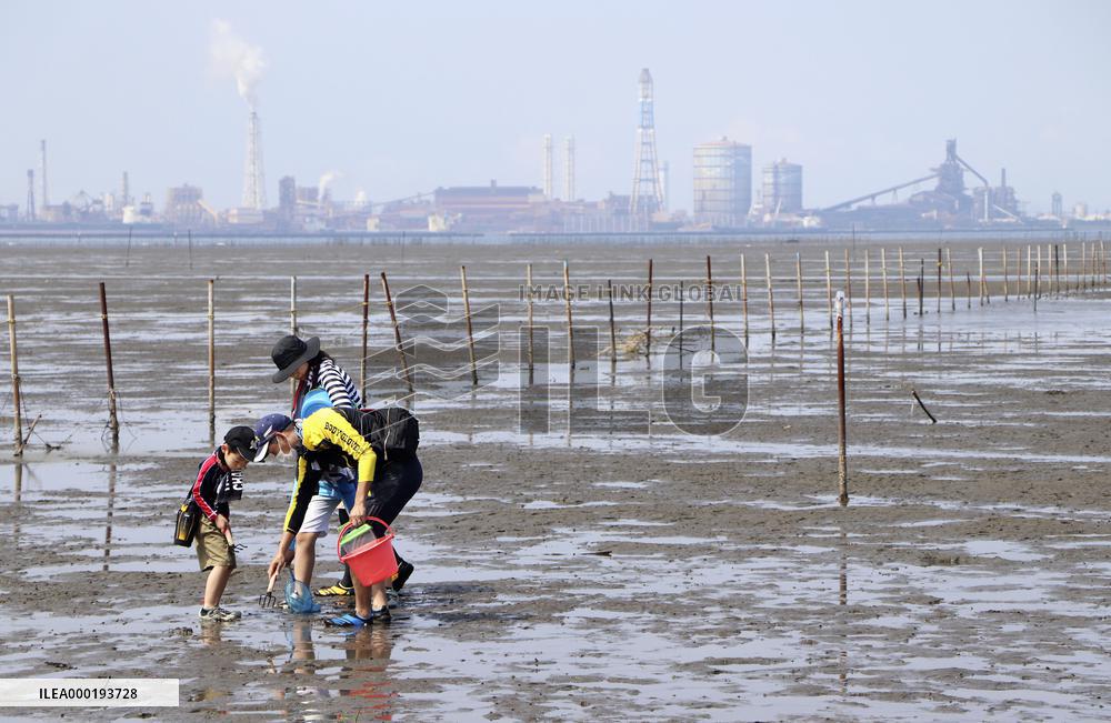 Clam digging in Japan