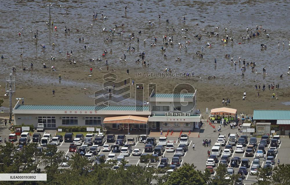 Clam digging in Japan