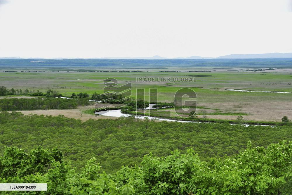 Kushiro marsh in Hokkaido