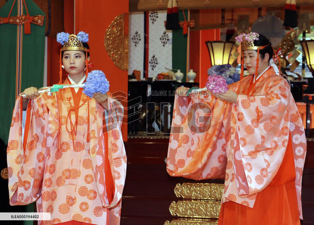 Hydrangea festival in western Japan