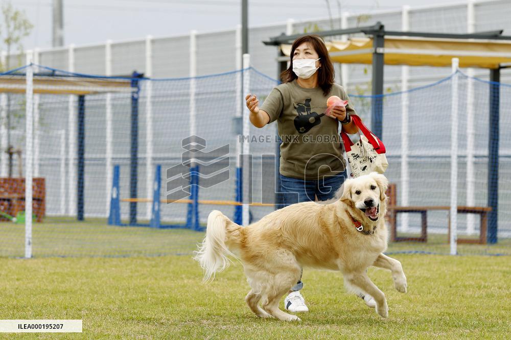 Dog run opens in tsunami-hit northeastern Japan city