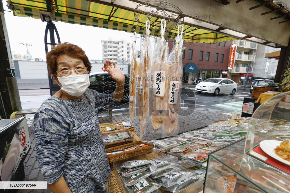 State-subsidized travel campaign in Japan