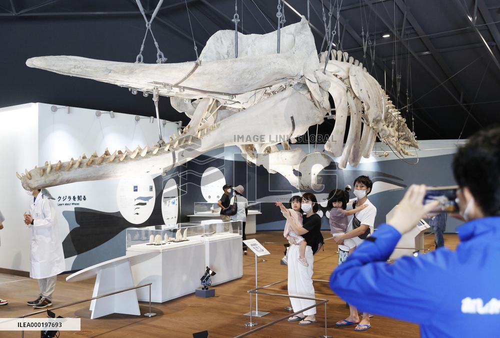 Whale facility reopens in northeastern Japan
