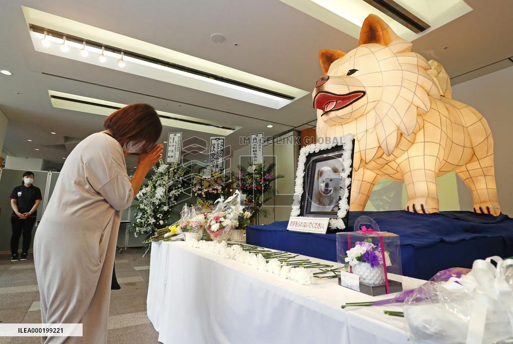 Gathering in memory of Akita dog Wasao