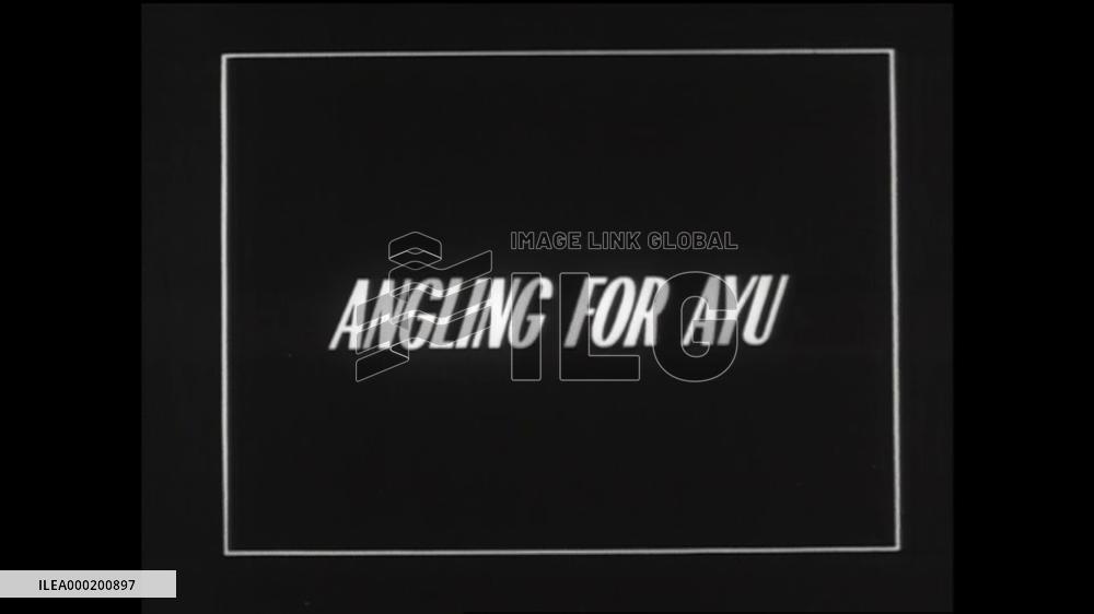 ANGLING FOR AYU