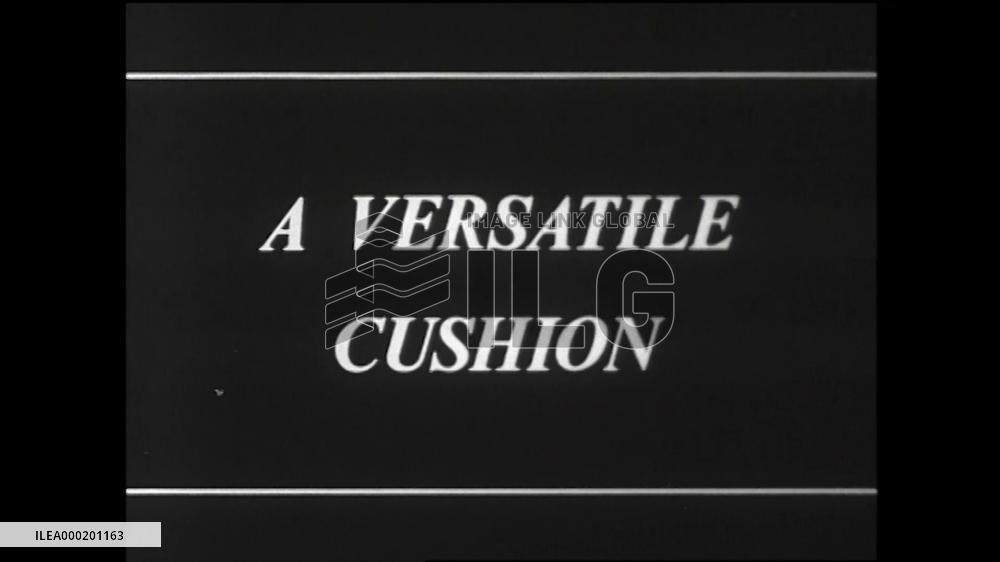 A VERSATILE CUSHION