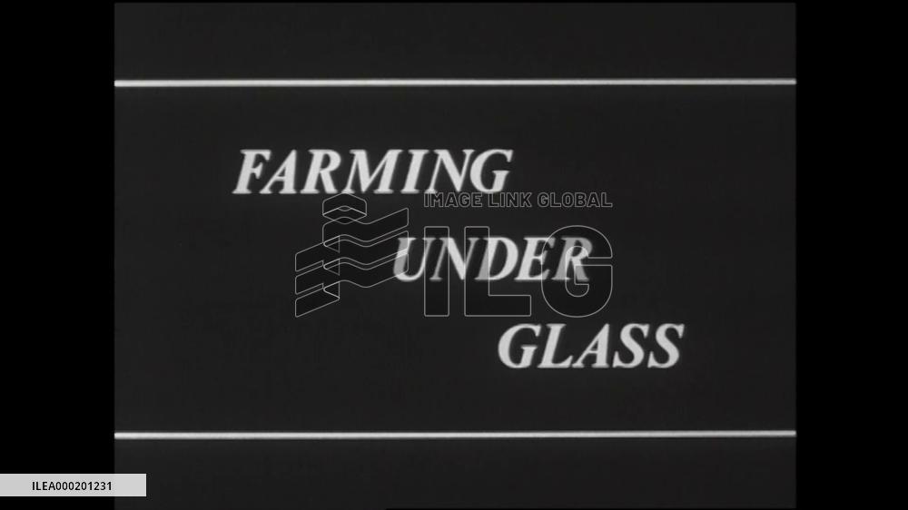 FARMING UNDER GLASS