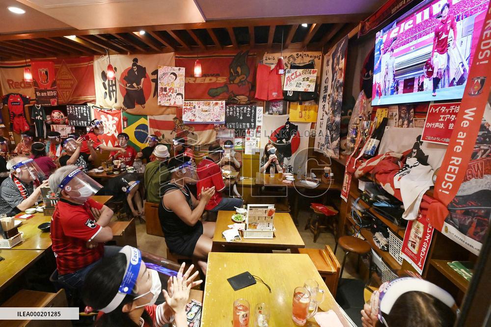 Japan's fight against novel coronavirus