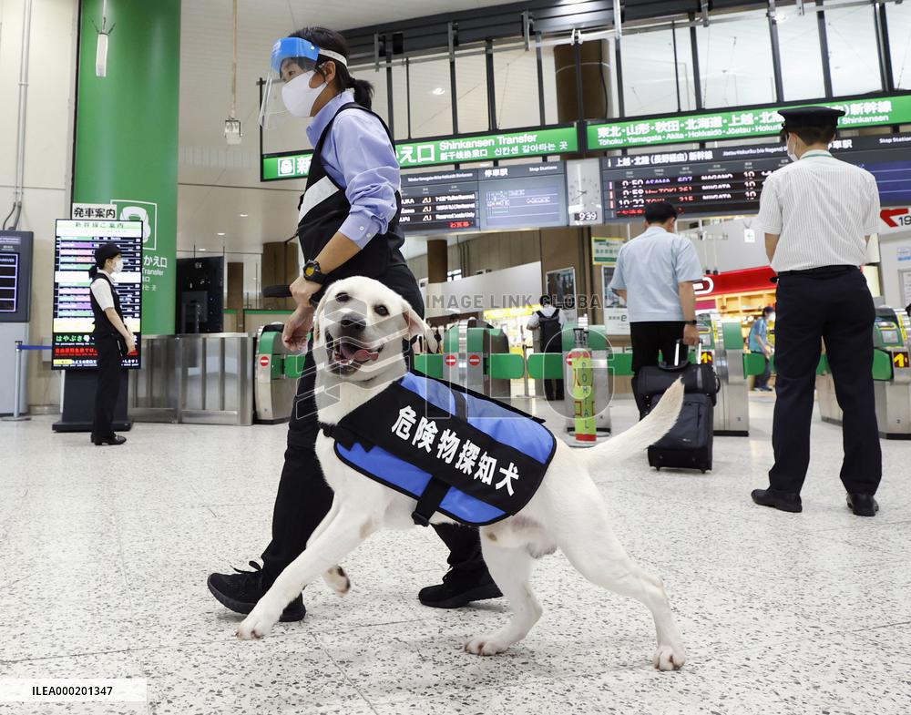 Sniffer dog at Tokyo train station