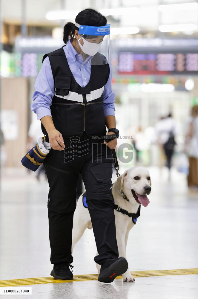 Sniffer dog at Tokyo train station