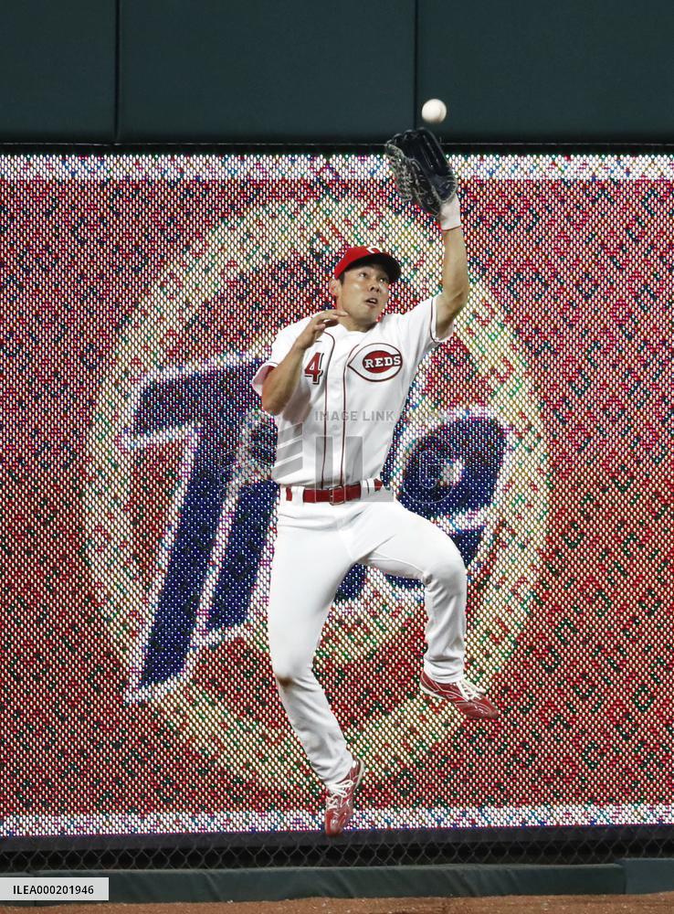 Baseball: Cardinals v Reds