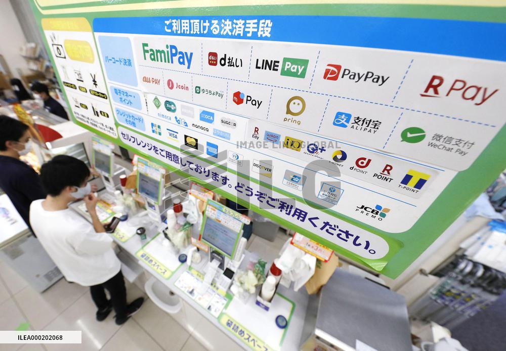 Cashless payment system