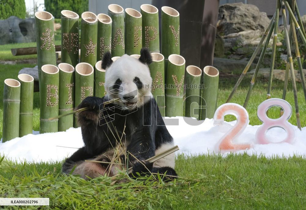 28th birthday of giant panda at western Japan zoo
