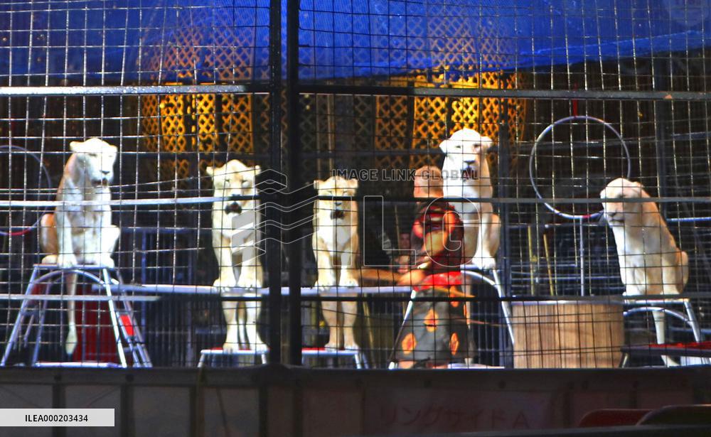 Crowdfunding for financially strapped Kinoshita Circus