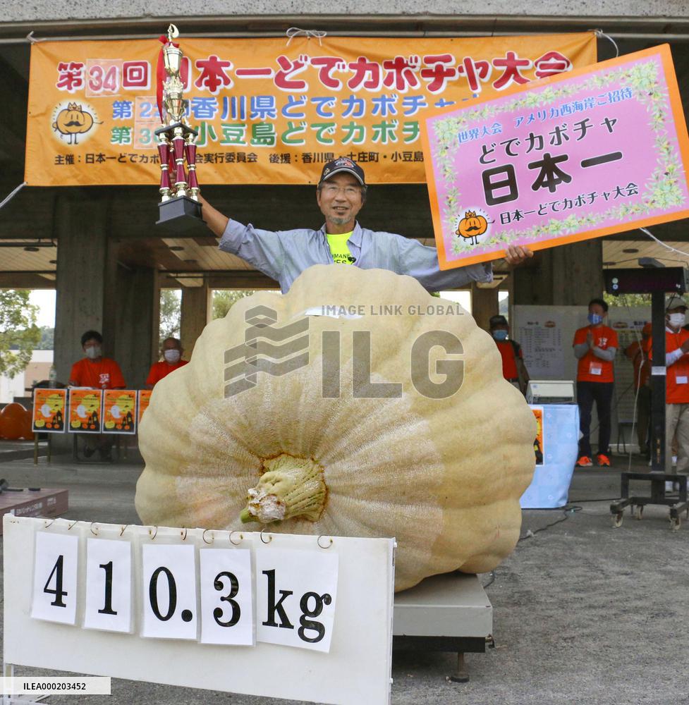 Heaviest pumpkin in Japan