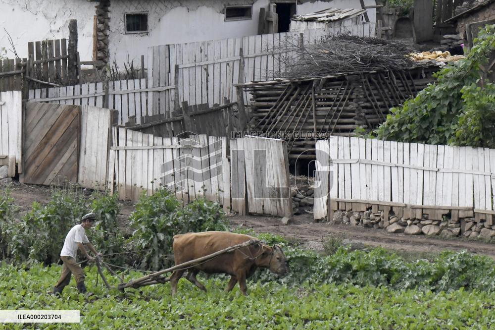 Scene in North Korea's Ryanggang Province