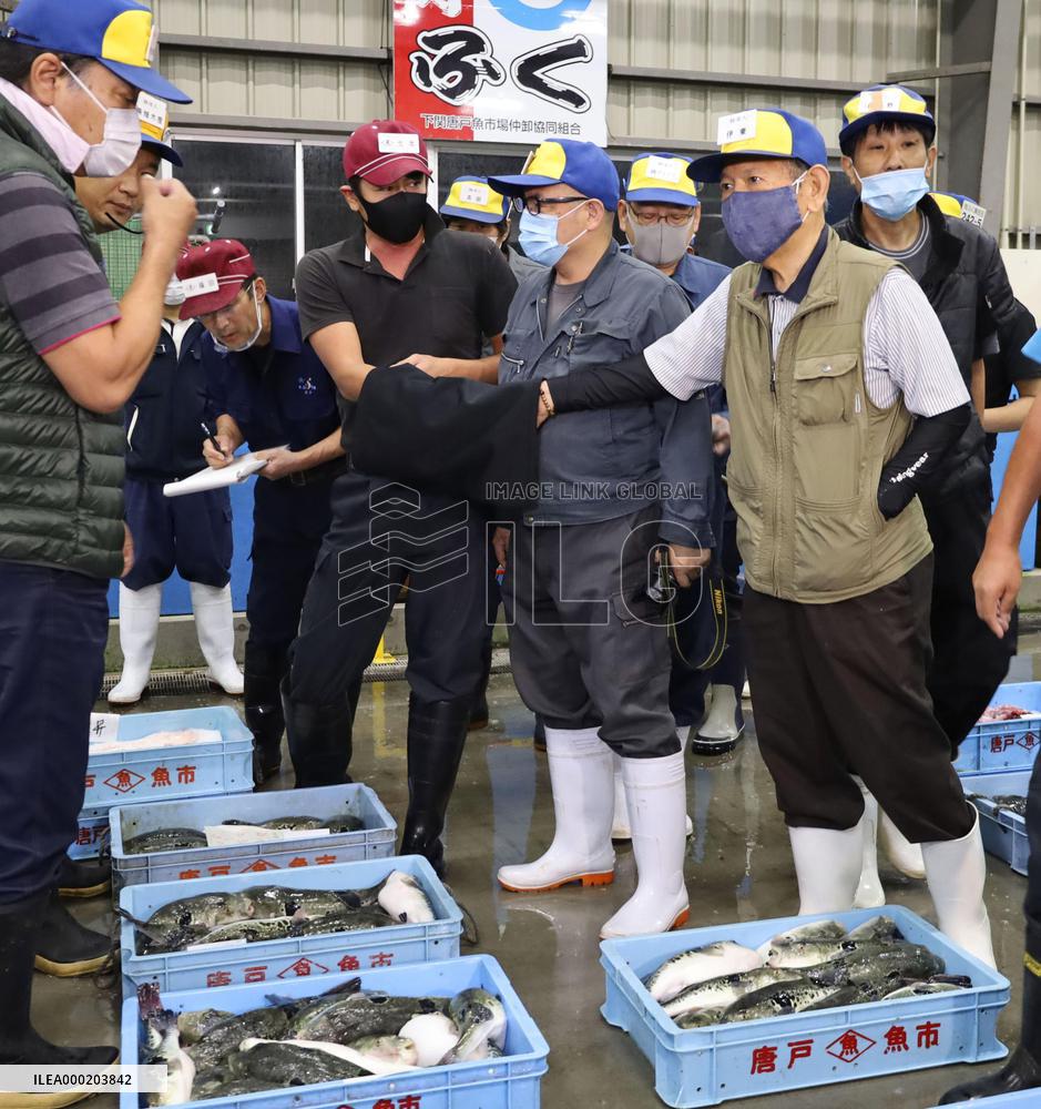 First pufferfish auction of season in western Japan