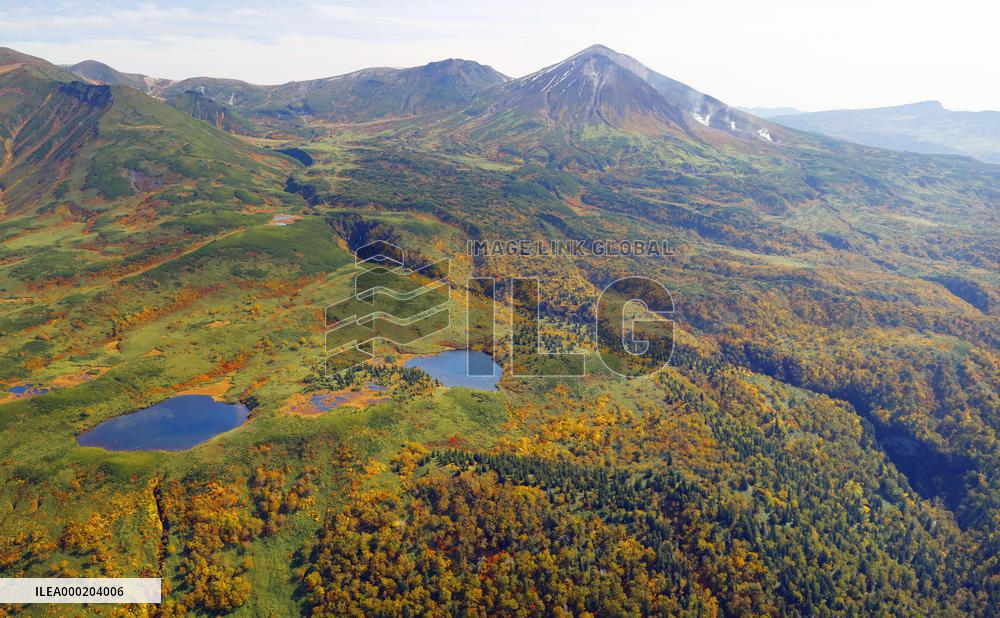 Autumn leaves in northern Japan mountains