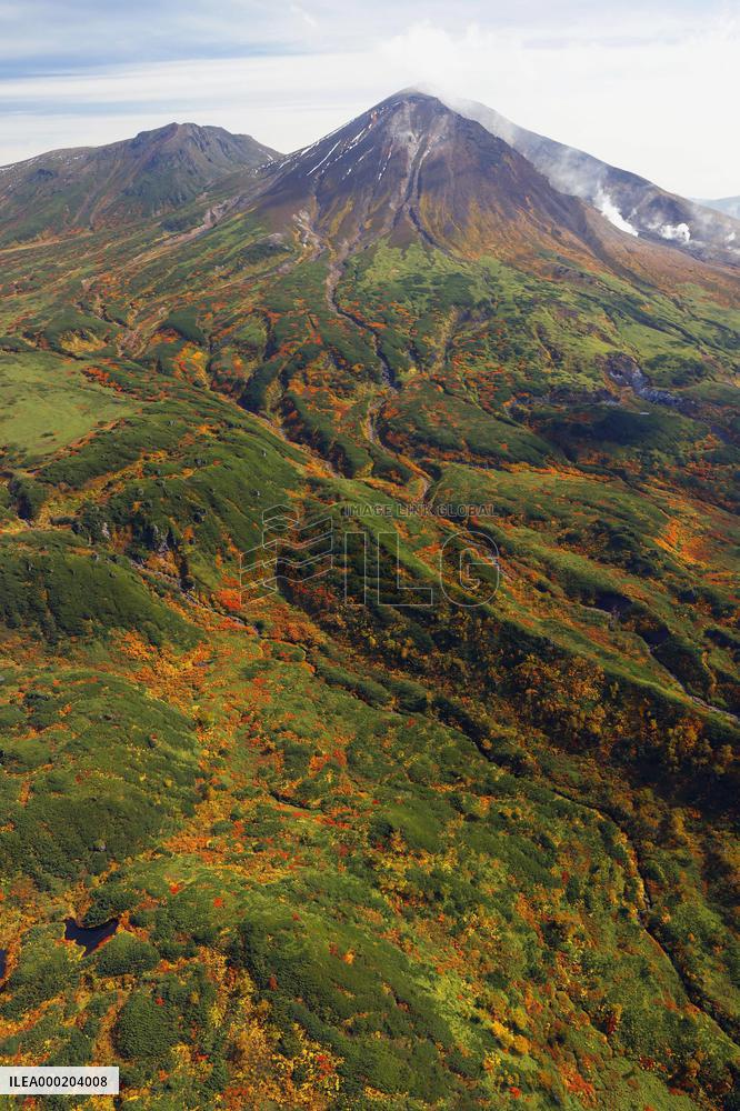 Autumn leaves in northern Japan mountains