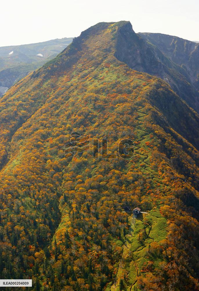 Autumn leaves in northern Japan mountains