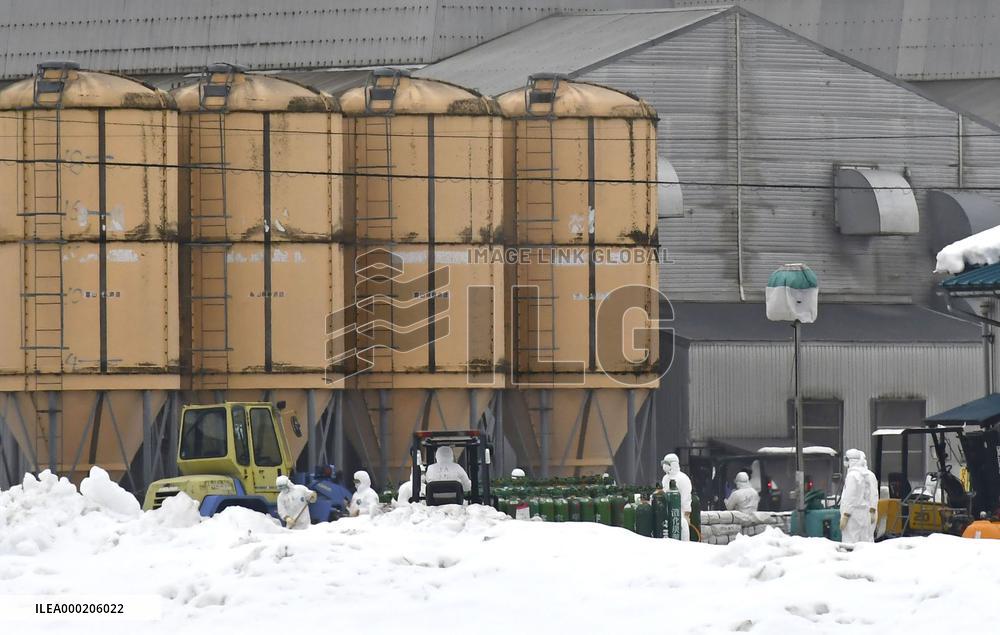 Bird flu outbreak in central Japan