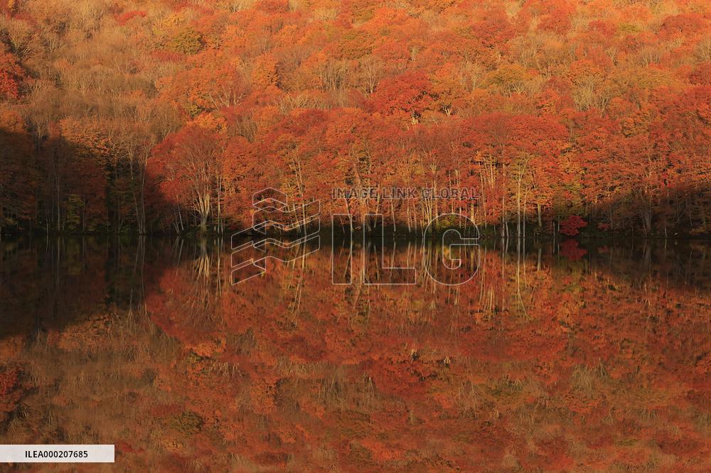 Autumn foliage in northeastern Japan