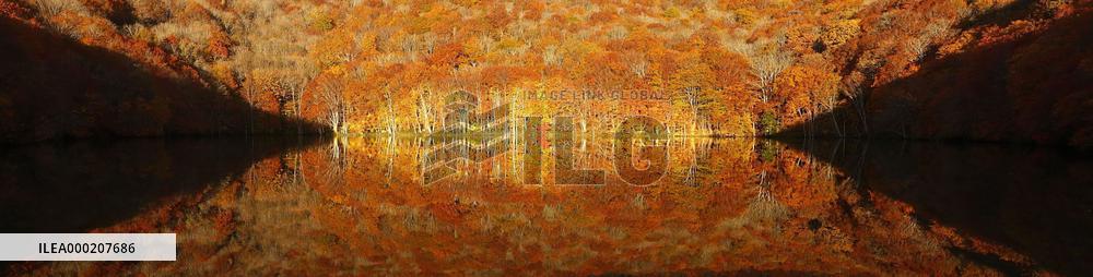 Autumn foliage in northeastern Japan