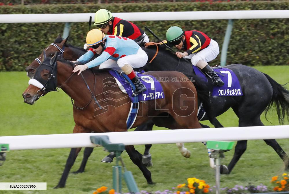 Horse racing: Almond Eye wins Tenno-sho for record 8th G1 title