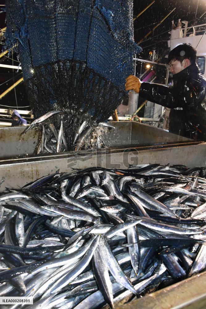 Saury fishing in northern Japan
