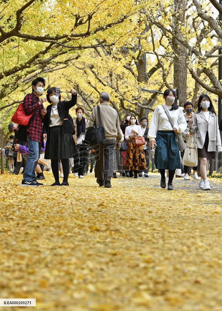 Spread of coronavirus in Japan