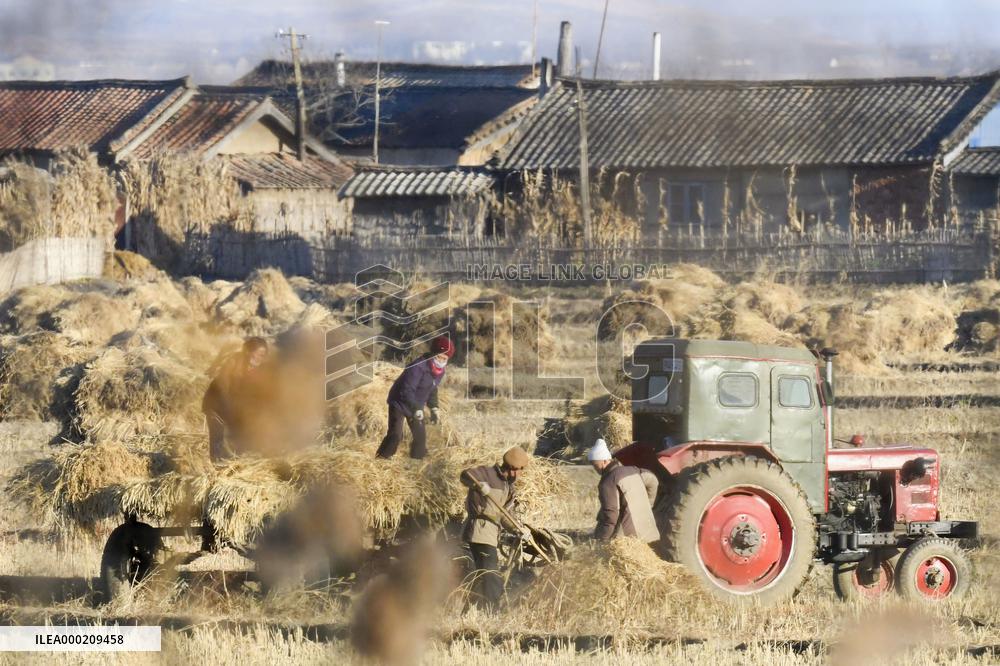 Winter preparation on N. Korean island