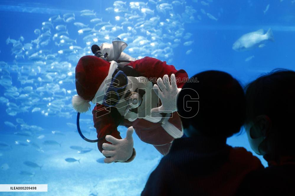 Santa Claus at Osaka aquarium