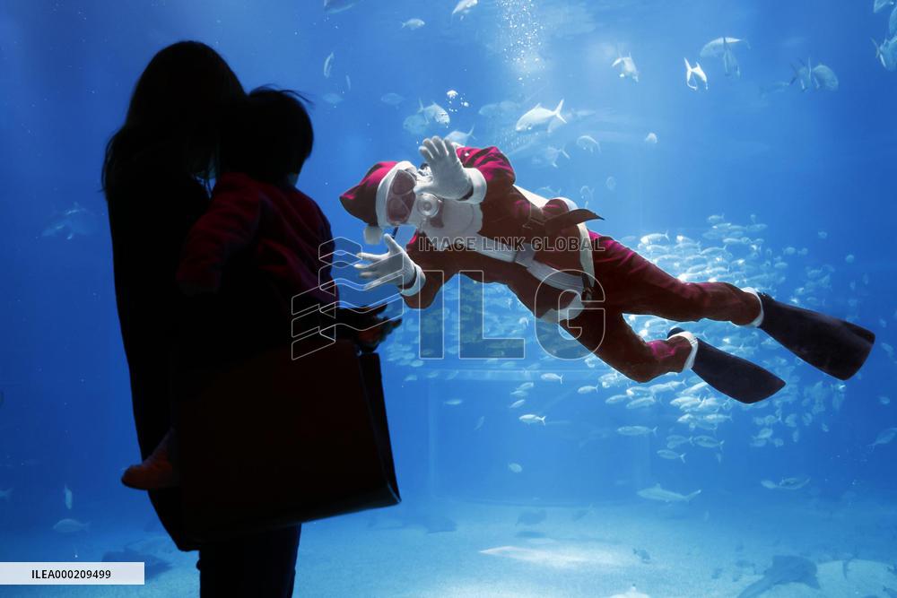 Santa Claus at Osaka aquarium