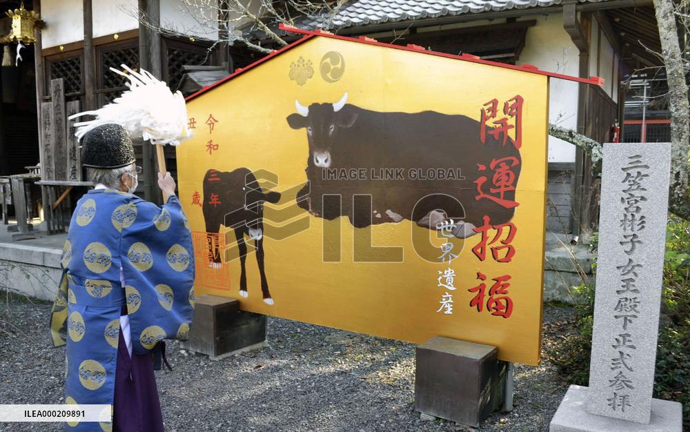 Preparation for year of ox in 2021