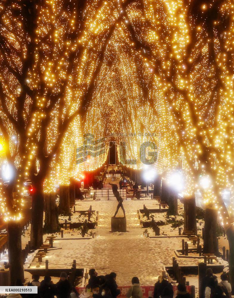Illumination event in northeastern Japan