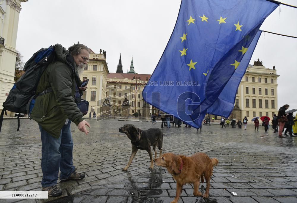 Roma Pride 2018 in Prague, EU flag, dog, dogs