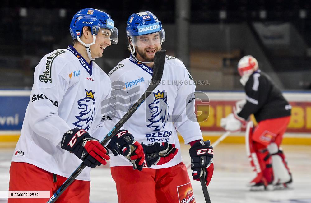 David Tomasek, Hynek Zohorna