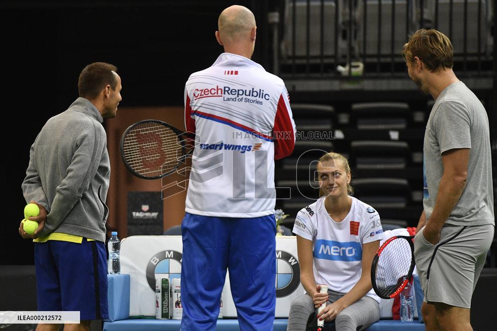 David Vydra, Petr Pala, Petra Kvitova, Jiri Vanek
