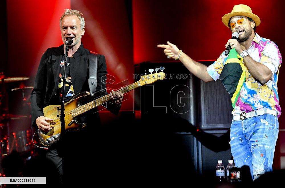 STING, SHAGGY