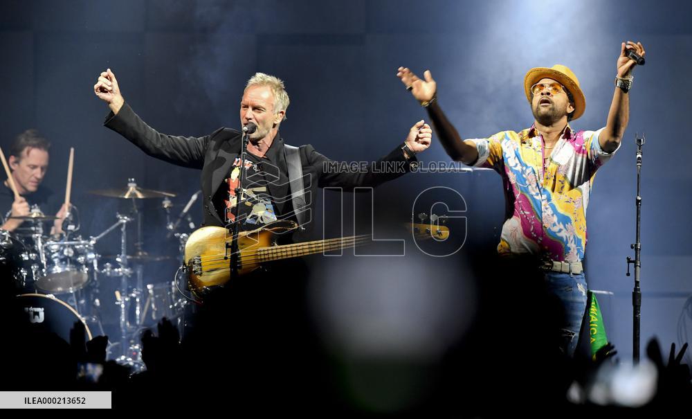 STING, SHAGGY