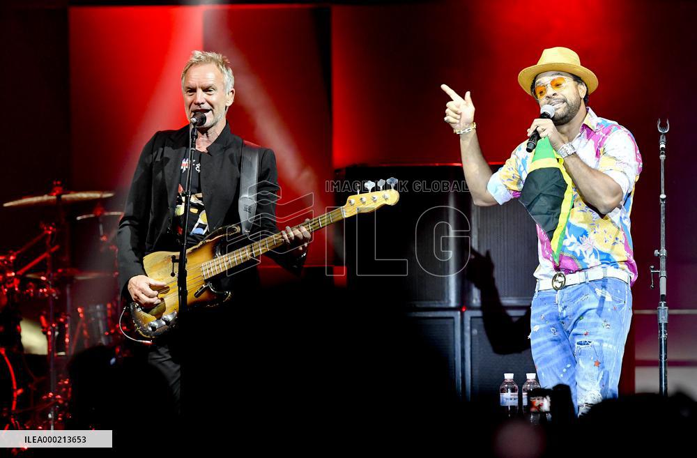 STING, SHAGGY