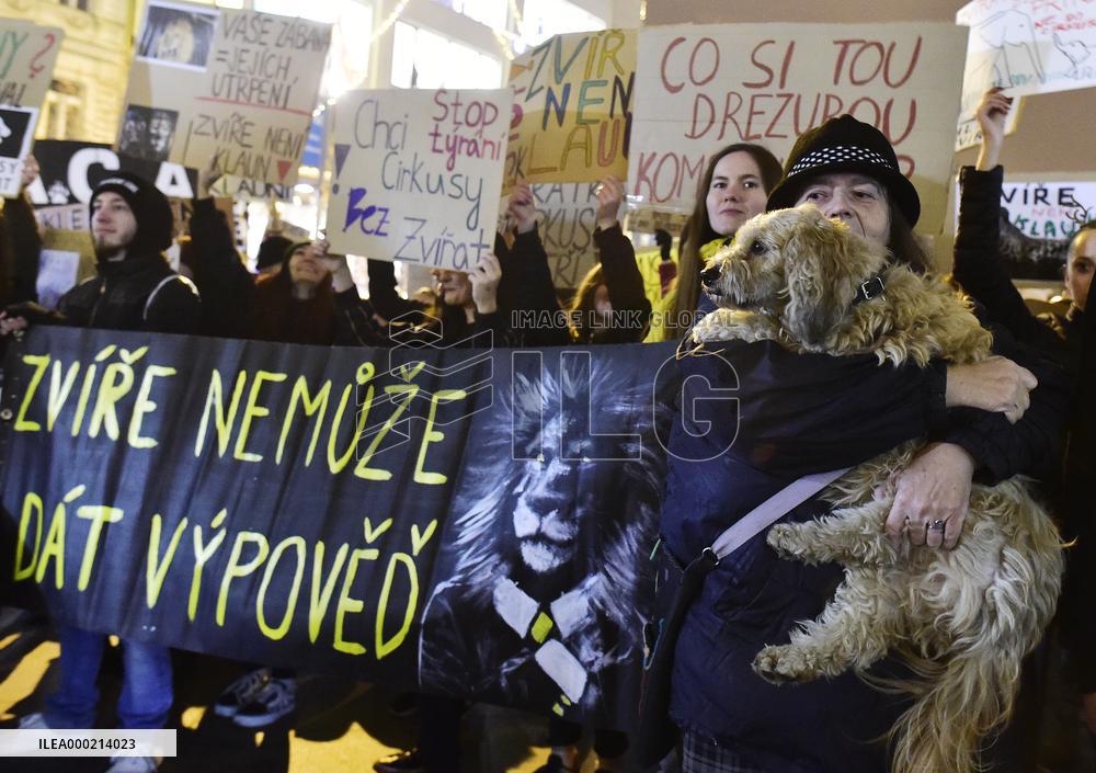 march for circuses without animals